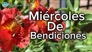 Buenos días Feliz miércoles Lindo día de bendición Abre este mensaje