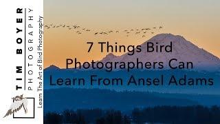 7 Things Bird Photographers Can Learn From Ansel Adams