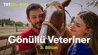 Gönüllü Veteriner  3. Bölüm  TRT Belgesel