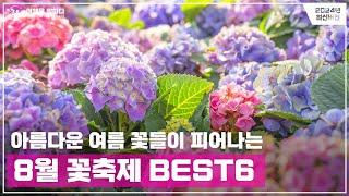 8월 가볼만한 여행지  꽃 축제 추천  여름 수국축제 봉선화 8월 명소 추천 국내 여행지 추천