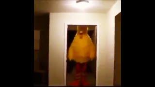 Big Bird Interrupts Minecraft Kid Meme