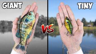 TINY Swimbait vs GIANT Swimbait Bass Fishing Challenge EPIC