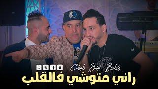 Cheb Bilel Babilo 2023  Rani Mtouchi Fel Galb -  الهربة تسلك-  Live Mariage Sohaib Papillon