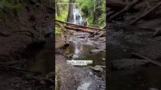 How do you keep feet dry when hiking? Waterproof socks