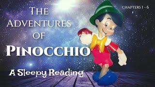 A  Sleepy Reading of the Classic Tale PINOCCHIO   Fall Fast Asleep with a Calming Bedtime Story