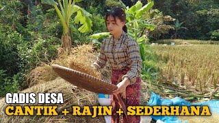 Rajin dan sederhana Gadis Desa Cantik Di Sawah Membantu Orang tua.