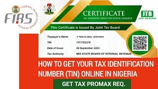 How to get Tax Identification Number Online - Validation & Tracking Delayed TIN -  Tax Promax Online