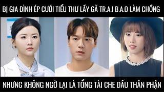 Bị gia đình ép cưới tiểu thư lấy tr.a.i b.a.o làm chồng ai ngờ lại là tổng tài che giấu thân phận