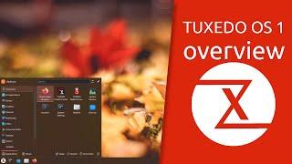 TUXEDO OS 1 overview  Surf mail work or play? Go for it