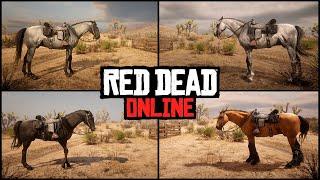 ЛУЧШАЯ ЛОШАДЬ в Red Dead Online 2024 Самый БЫСТРЫЙ КОНЬ в Red Dead Redemption 2