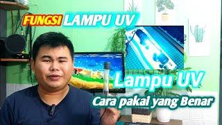 Fungsi Lampu UV untuk Ikan dan Cara Menggunakannya #dediscape