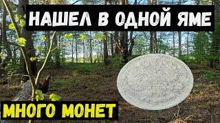 Нашел кошельКоп в лесах Беларуси 2022