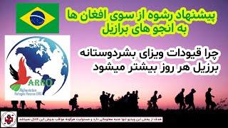 اعلامیه جدید وزارت خارجه برازیل برای ویزای بشردوستانه