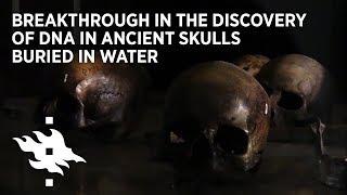 Breakthrough in the discovery of DNA in ancient skulls buried in water in Levänluhta