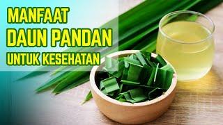 Selain wangi  ini 12 Manfaat Daun Pandan untuk kesehatan