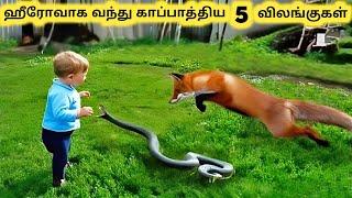 காப்பாற்றிய விலங்குகள்  Five Hero Animals that Saved Human Lives  Tamil Info Share