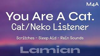 M4A You Are A Cat. CatNeko Listener Scritches Rain Sounds Sleep Aid  ASMR RP
