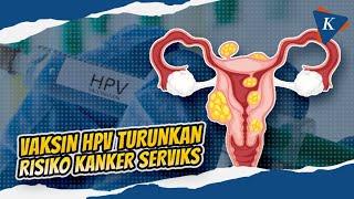 Mengenal Kanker Serviks dan Cara Turunkan Risikonya