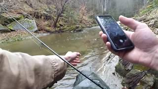 Риболов на балканска пъстърва в Родопите