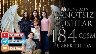 QANOTSIZ QUSHLAR 184 QISM TURK SERIALI UZBEK TILIDA  КАНОТСИЗ КУШЛАР 184 КИСМ УЗБЕК ТИЛИДА