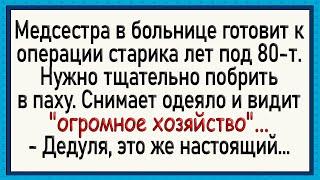 Дедуля с хозяйством до колен Сборник свежих анекдотов