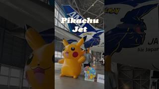 I FLEW ON A PIKACHU JET️️ #perthnakhun #pikachujet