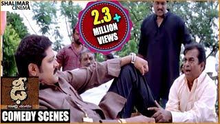 Dhee Telugu Movie  Srihari Back 2 Back Comedy Scenes  Manchu Vishnu Genelia  Shalimarcinema