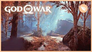 GOD OF WAR Forest Ambience  No Soundtrack  Peaceful Nature Sounds  1 HOUR