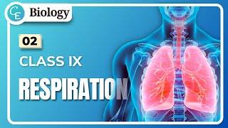 02  Respiration Class 9  WBBSE Class 9 Life Science Chapter 9 in Hindi  By Shifat Ahmed