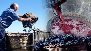 Artisan wine. Traditional process of the vine and its modernization  Lost Trades  Documentary film