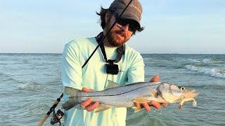 5 Tips To Catch Snook From The Beach This Summer