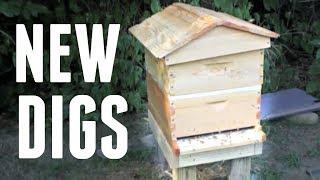 Moving Split into a New Bee Built Hive & Time For a Mite Wash Bee Vlog #19 2018