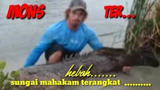 ANGLER MAMCINGMANCING AMBYARMONSTER SUNGAI MAHAKAM SAMARINDA TERANGKAT