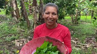 Dia de colheita no sítio. Vamos vender na feira da cidade… #sítio #vidasimples