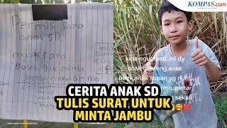 Viral Anak SD Tulis Surat untuk Minta Jambu Mawar Pemilik Sopan Sekali