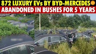 Cars Grow in Grass 872 Luxury EVs by BYD-Mercedes Abandoned in Bushes for 5 Years