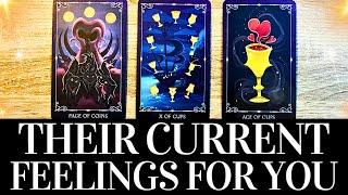 PICK A CARD Their CURRENT FEELINGS For YOU  They want you to know THIS  Love Tarot Reading