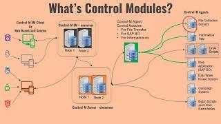 Control-M Control Modules - Control-M for SAP - Control-M for FTP etc.