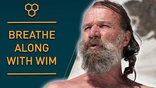 Breathe Along with Wim Hof  Guided Breathing