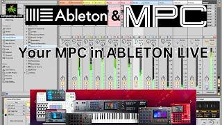 Ableton Live 11.3 & MPC 2.12.3 Tracking your Beats in Ableton