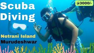 Scuba Diving In Murudeshwar  Exploring Underwater life on Netrani Island  Karnataka 