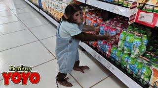 YoYo JR goes to the supermarket