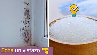 HAZ TU PROPIO “DESHUMIFICADOR” CASERO Y OLVÍDATE DE LA HUMEDAD EN TU HOGAR