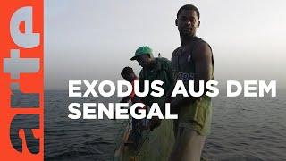 Senegal Exodus der Fischer  ARTE Reportage