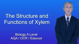 A Level Biology Revision The Structure and Functions of Xylem