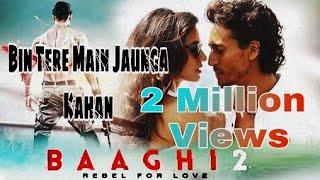 Bin Tere Main Jaunga Kanha  Baaghi 2  Song  Ash Vblog 