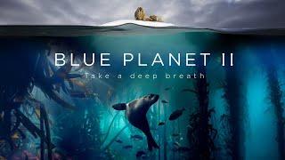 Blue Planet II  The Prequel