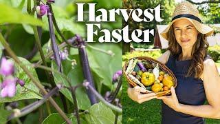 Easy trick to FAST growing beans