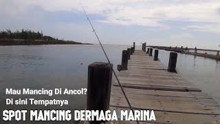 Mancing di dermaga marina Ancol  disini boleh mancing Bebas dari security