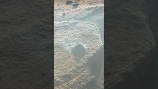 InfMars - Perseverance Sol 749 - Shorts Video 1 “Berea”